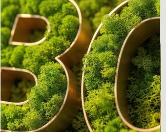 Insegna personalizzata con lettere in muschio / Nome 3D, decorazione da parete