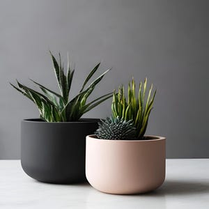 May include: Two modern planters, one black and one blush pink, each holding different types of plants. The black planter contains a snake plant with green and white striped leaves. The pink planter has a succulent and a plant with yellow-green leaves.