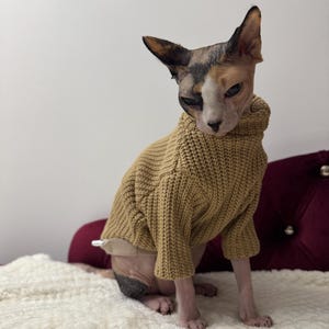 Suéter cálido Sphynx de punto de manga larga para gato, ropa de invierno