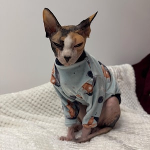 May include: A hairless Sphynx cat with a tri-color face of black, white, and tan wearing a light blue long-sleeve shirt. The shirt features a repeating pattern of small orange foxes, dark blue planets, and white stars across the fabric.