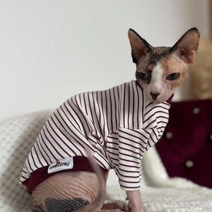 Puede incluir: Un gato Sphynx lleva una camiseta de manga larga con un patrón de rayas blancas y granates. La prenda tiene un cuello y un dobladillo de color granate sólido, con una pequeña etiqueta rectangular blanca en el lateral con el texto SphynxStyle en negro y rojo.