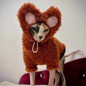 Sphynx Cat HAT ONLY teddy bear fleece warm and cosy winter cute
