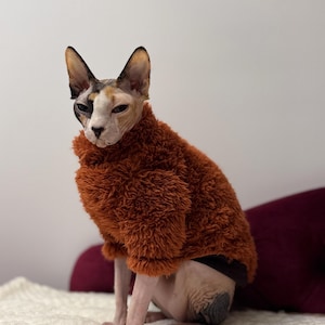 Suéter de lana con diseño de oso de peluche suave de gato Sphynx, ropa de Sphynx, camiseta extra cálida para invierno.