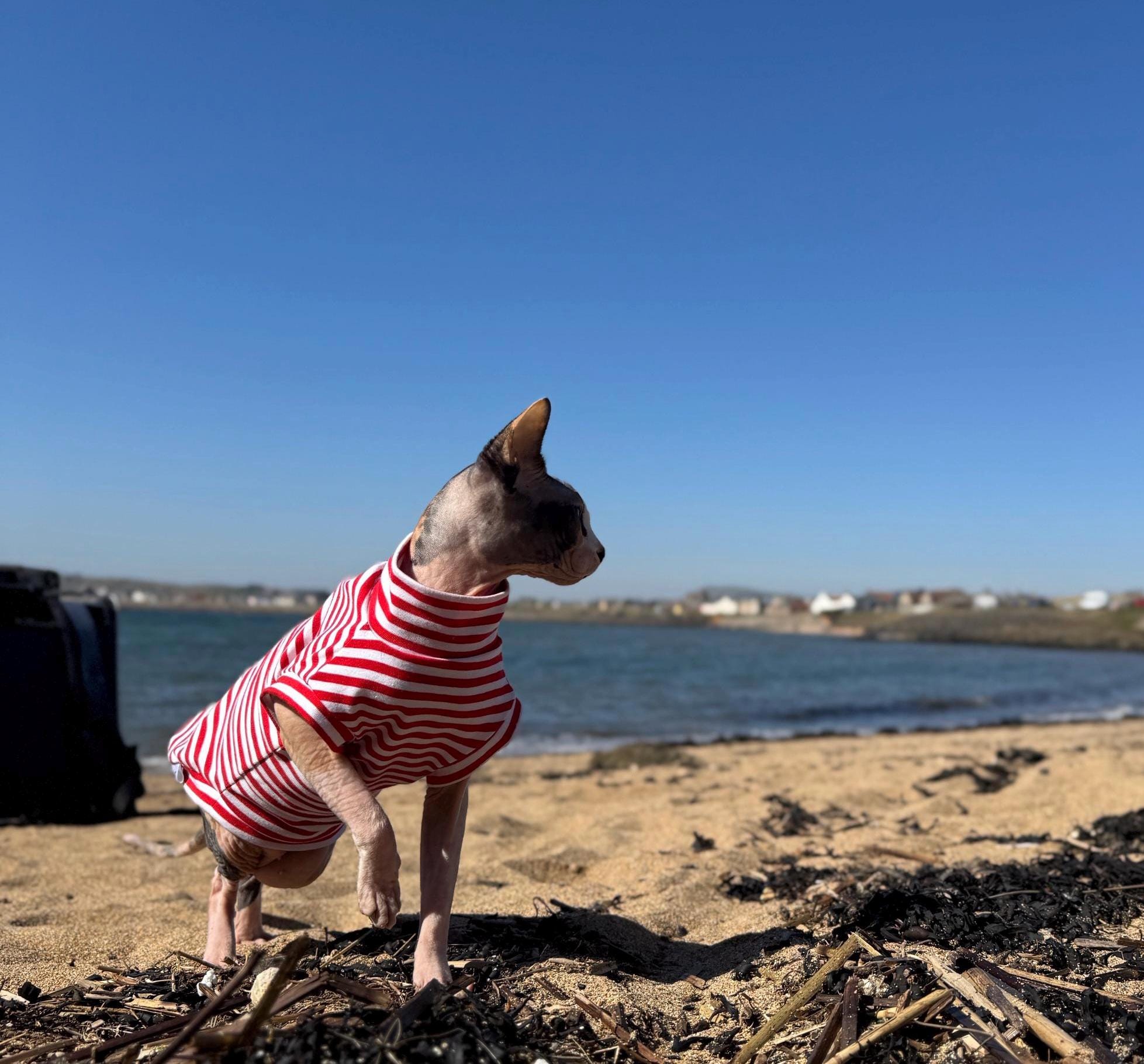 Sphynx Cat Jumper Organic Jersey Cotton Sensitive Skin Organic Series  Clothes Red Stripes Two Holes or One Hole for Legs - Etsy, image size:1957x1820