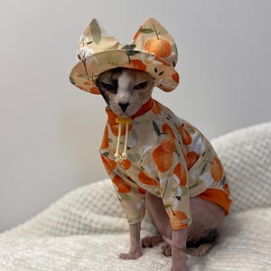May include: A beige pet outfit featuring a repeating orange and white floral pattern with small bees. The set includes a long-sleeved shirt with orange trim and a matching bucket hat with pointed ears, secured by a yellow drawstring toggle closure.