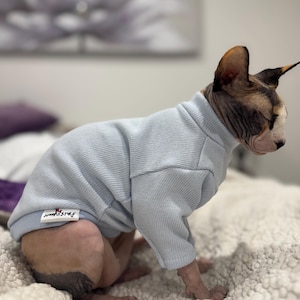 Può includere: Un maglione a maniche lunghe color azzurro con collo alto per un gatto senza pelo. Il capo presenta un tessuto in maglia testurizzato e una piccola etichetta rettangolare bianca sul lato inferiore con la scritta SPHYNX STYLE stampata in nero.