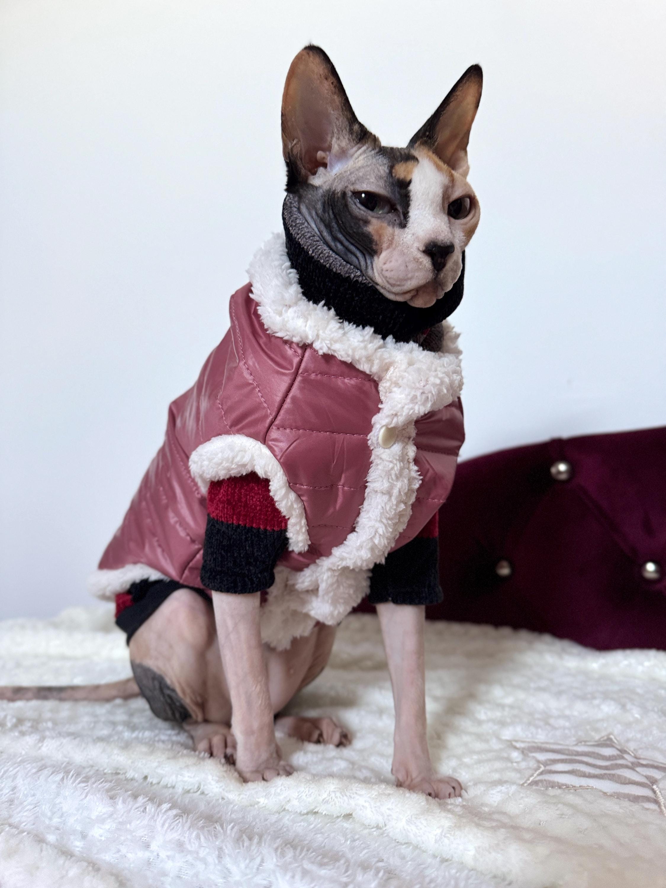 Sphynx Cat Jacket Louis Vuitton Cat Sweater Sphynx Cat Sweater