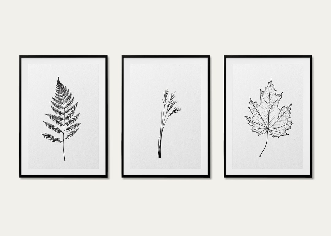 Stylish Black and White Botanical Wall Art Prints Set of 3, Line Art