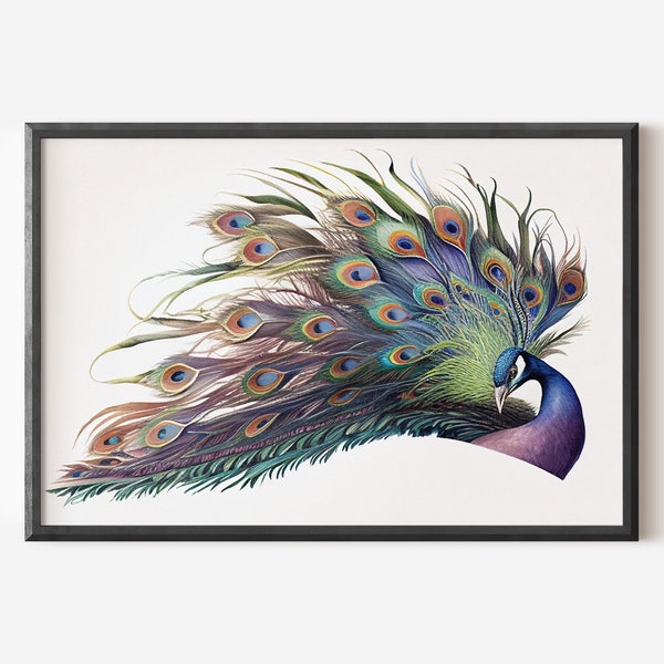 Peacock clip art,peacock watercolo,peacock art,watercolor print,aquarelle clipart,watercolor feather,floral peacock,Watercolor digital print