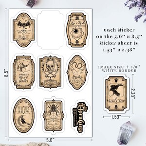 Each sticker on the 5.6” x 8.5” sticker sheet is 1.53” x 2.38” (which includes the 1/8” white border around each sticker)