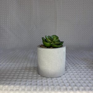 Faux Succulent Plant set