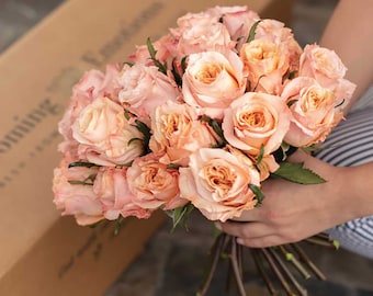 50 Rosas Ecuatorianas Premium de Durazno Cortadas Recién Cortadas (Directo de Granja)