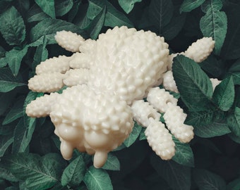 Poseable Spider Fidget Toy