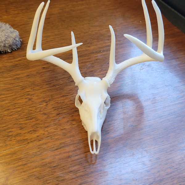 Deer skull decor