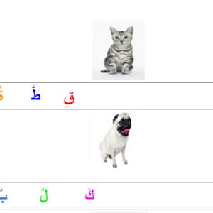 Arabisch für Anfänger, Unterrichtspläne Vorlage, praktische Aktivitäten, arabische Alphabete, Belegtes Buch, Lernmappe, Lehrplan Karten