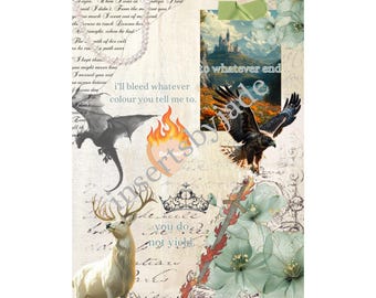 throne of glass inspired kindle insert for kindle basic | paperwhite 11th generation/12th generation/coloursoft | kindle stickers