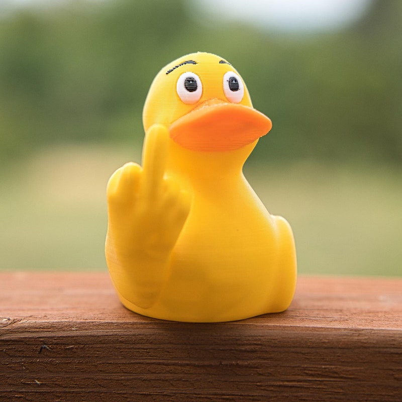 6 PC Funny Middle Finger Duck Lucky Charm Gift, Sending You
