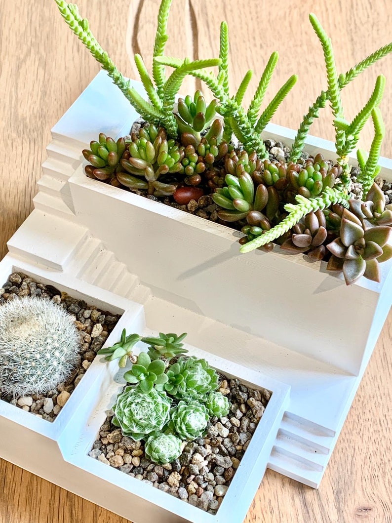 3D Printed Zen Garden Planter Relaxing & Stylish Miniature Etsy