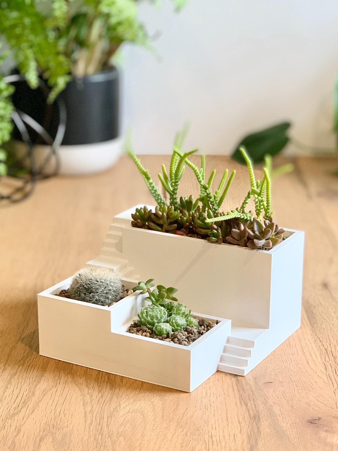 3D Printed Zen Garden Planter Relaxing & Stylish Miniature Landscape Etsy