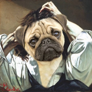 Pet Portrait