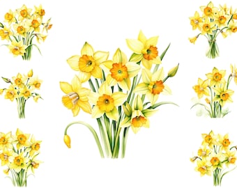 Watercolour Spring  Flowers Clipart, Daffodils Flowers Png, Springtime Clipart, Printable Yellow Daffodils Floral Clipart