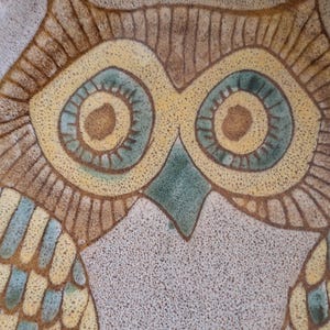 May include: A ceramic bowl featuring a hand-painted owl design in shades of brown, tan, and muted blue. The owl has large, circular eyes, a triangular beak, and detailed feather patterns across its body, set against a speckled, textured background.