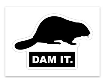 Dam Es Vinyl Aufkleber, wasserfest. Perfekt für Ihren Laptop, Wasserflasche, Gitarrenkoffer, Kühlbox oder überall, wo Sie sie ablegen möchten.