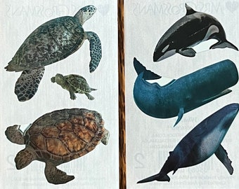 Turtle or Whale Stickers (YOU CHOOSE) Mrs. Grossman’s Metallic Foil Photoessence Sheet