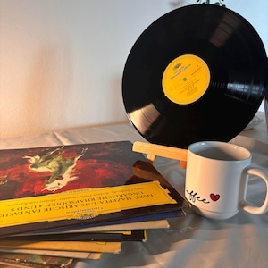 Raro set de vinilo clásico de Deutsche Grammophon de 11 LP: Mahler, Beethoven, Haydn, Liszt, Brahms, Rachmaninoff – VG+ Records