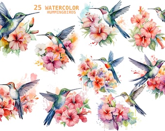 Watercolor HummingBirds  Tropical flowers of 25 PNG - Transparent Background Digital Download  Graphics - Commercial Use