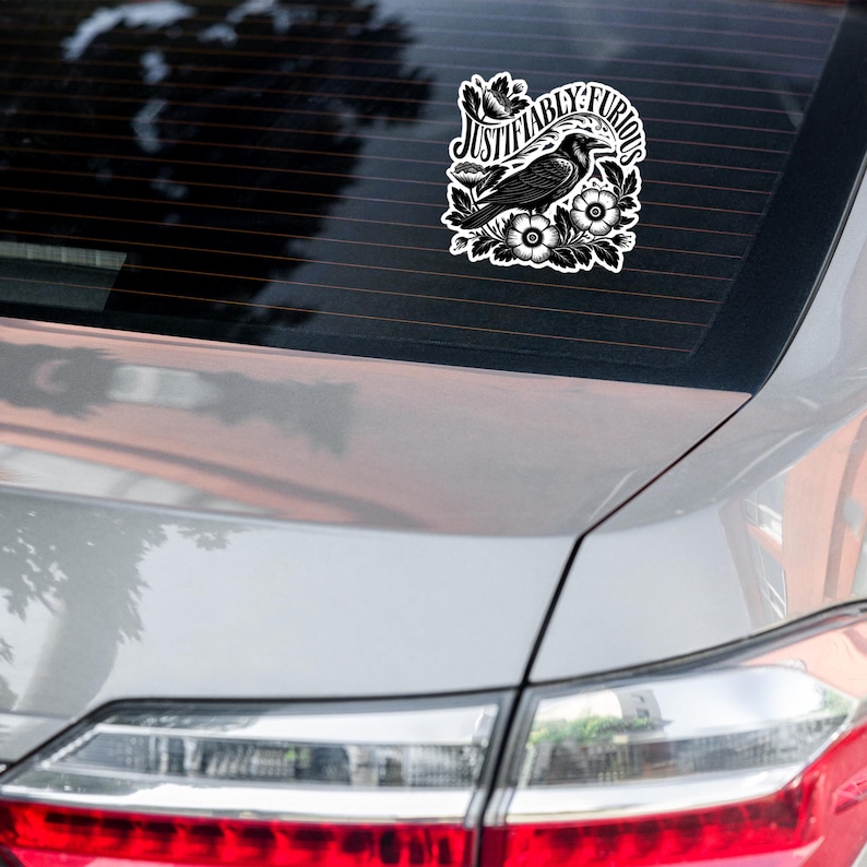 Anti-Fascism Magnet | Political Satire Car Decal image 5
