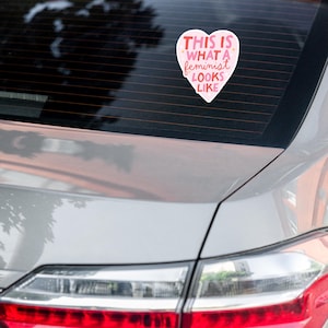 Anti-Fascism Magnet | Political Satire Car Decal image 4