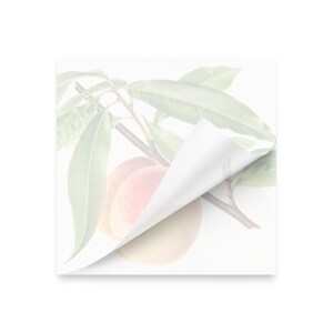 May include: A square notepad with a corner peeled back, revealing a peach and leaves illustration. The peach is a mix of pink and yellow, with green leaves and a brown branch. The background is white.