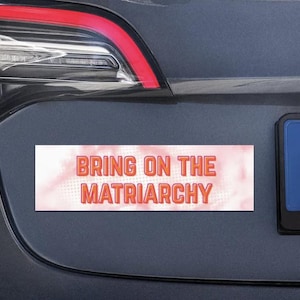 Anti-Fascism Magnet | Political Satire Car Decal image 8