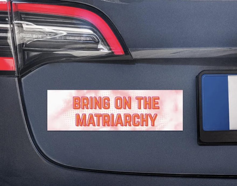 Anti-Fascism Magnet | Political Satire Car Decal image 8