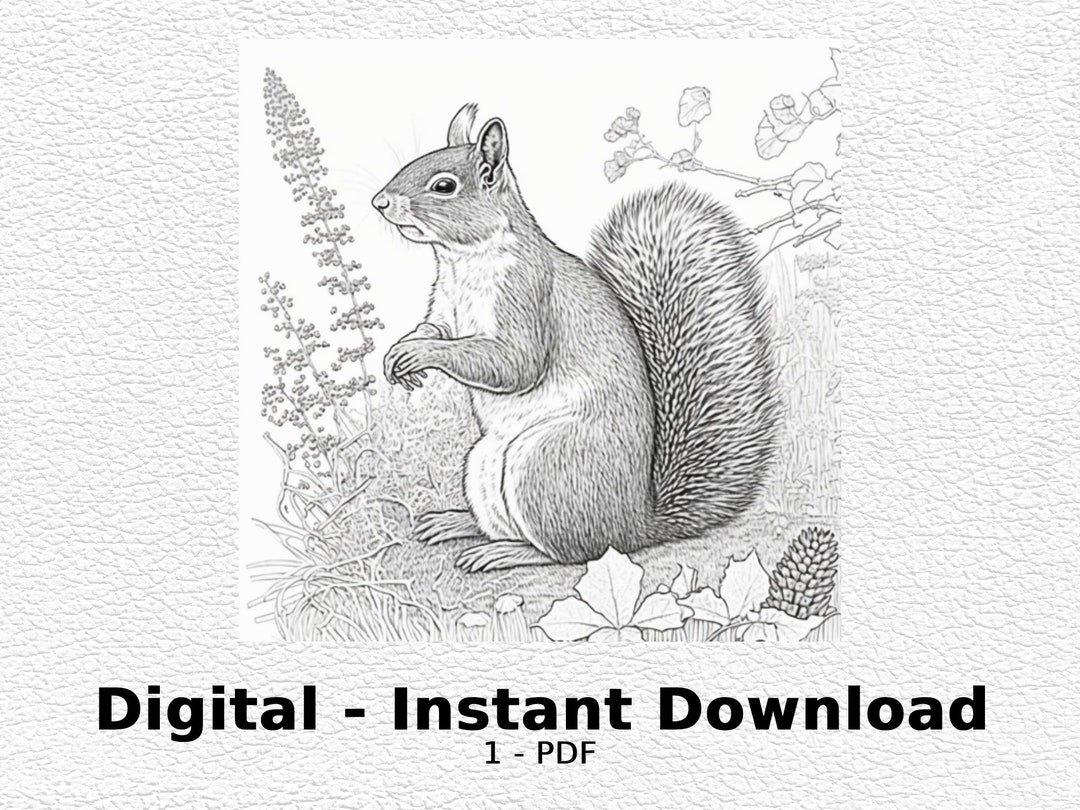 Eastern Gray Squirrel - Coloring Page- Coloring Page for Adult ...