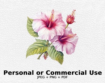 Ibisco dell'acquerello - Fiori SVG, Clipart floreale PNG per uso commerciale - Download digitale