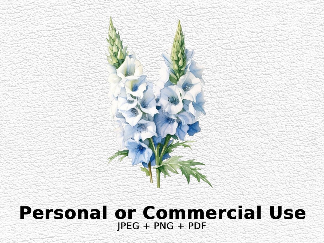 Watercolor Delphinium SVG Flowers, PNG Floral Clipart for Commercial ...