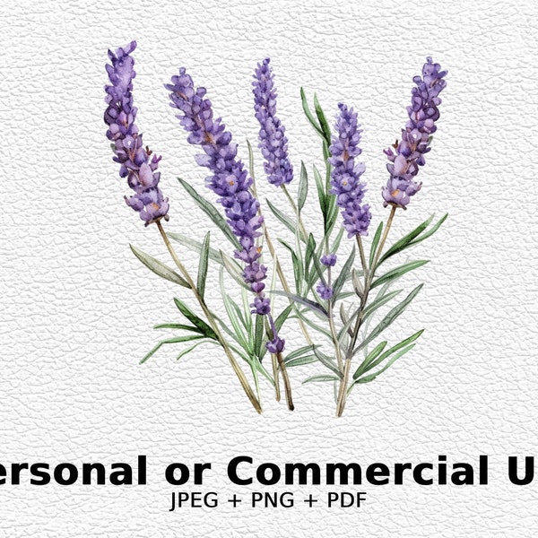 Watercolor Lavender - SVG Flowers, PNG Floral Clipart for Commercial Use - Digital Download