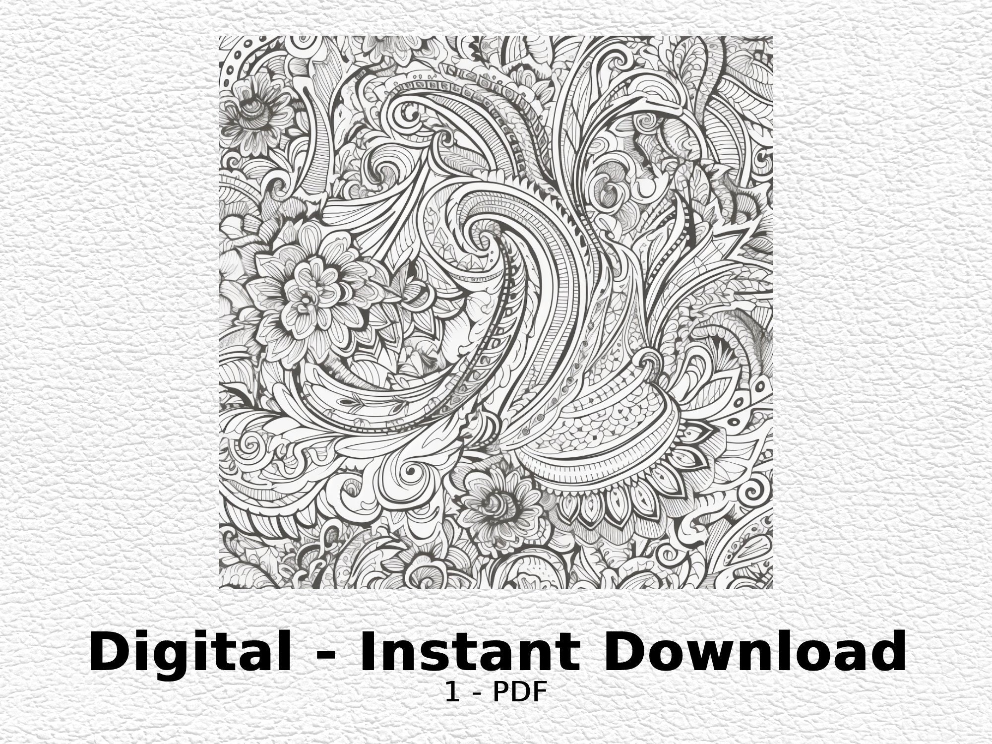 Paisley Patterns Coloring Book - Calming Coloring Books For Adults