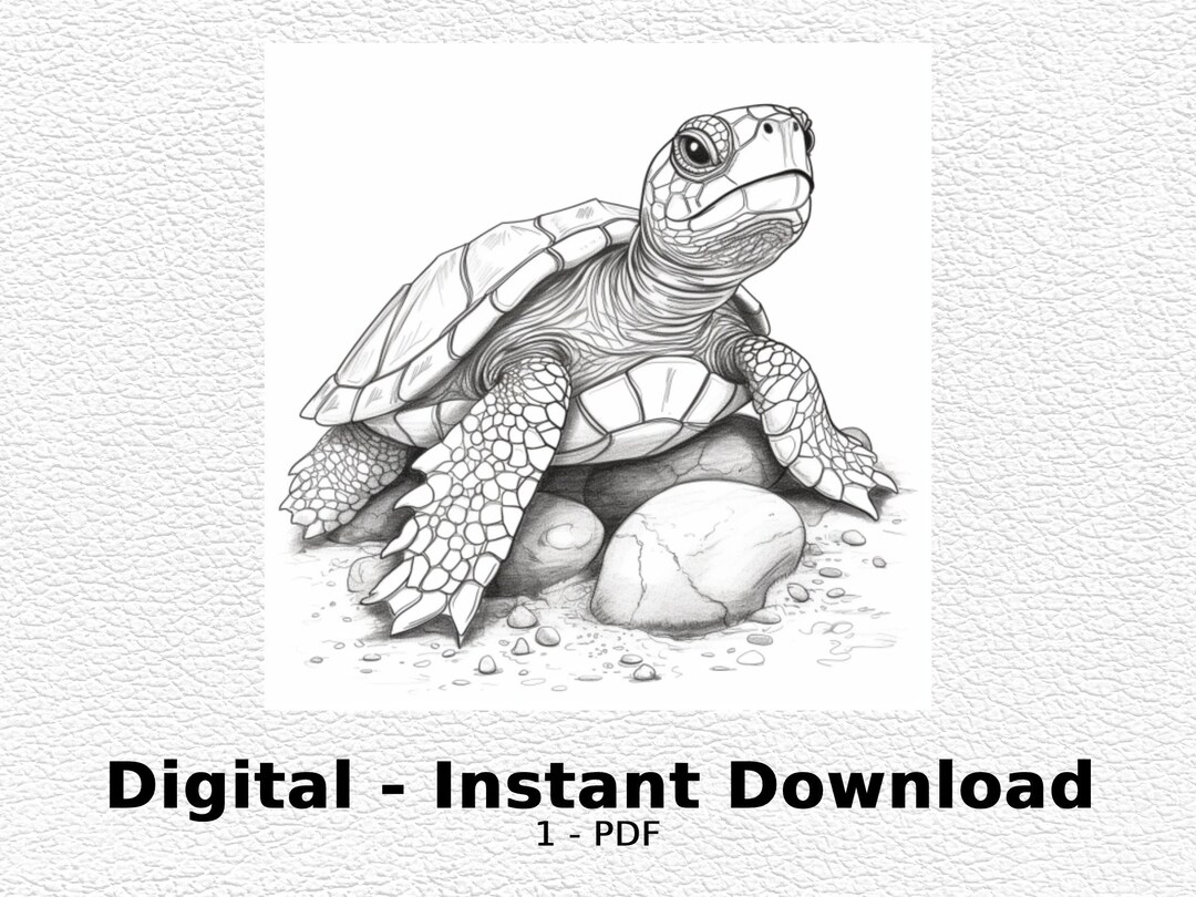 Baby Turtle - Coloring Page- Coloring Page for Adult Printable - Etsy