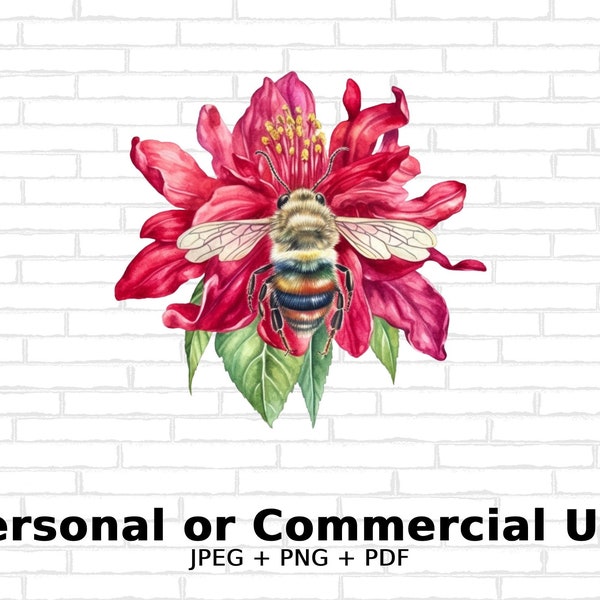 Bálsamo de abeja acuarela- Flores SVG, PNG Floral Clipart para uso comercial - Descarga digital