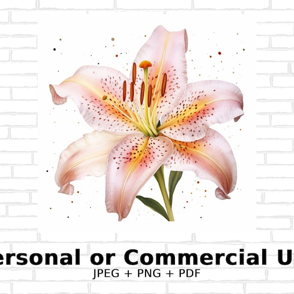 Watercolor Flowers - Watercolor Stargazer Lily- SVG Flowers, PNG Floral Clipart for Commercial Use - Digital Download