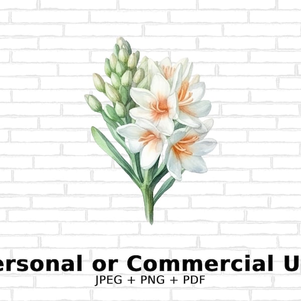 Watercolor Tuberose- SVG Flowers, PNG Floral Clipart for Commercial Use - Digital Download