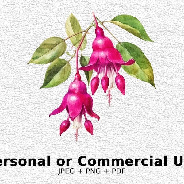 Watercolor Fuchsia - SVG Flowers, PNG Floral Clipart for Commercial Use - Digital Download