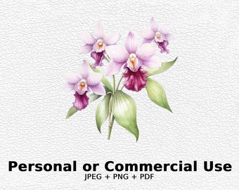 Orchidea dell'acquerello - Fiori SVG, Clipart floreale PNG per uso commerciale - Download digitale