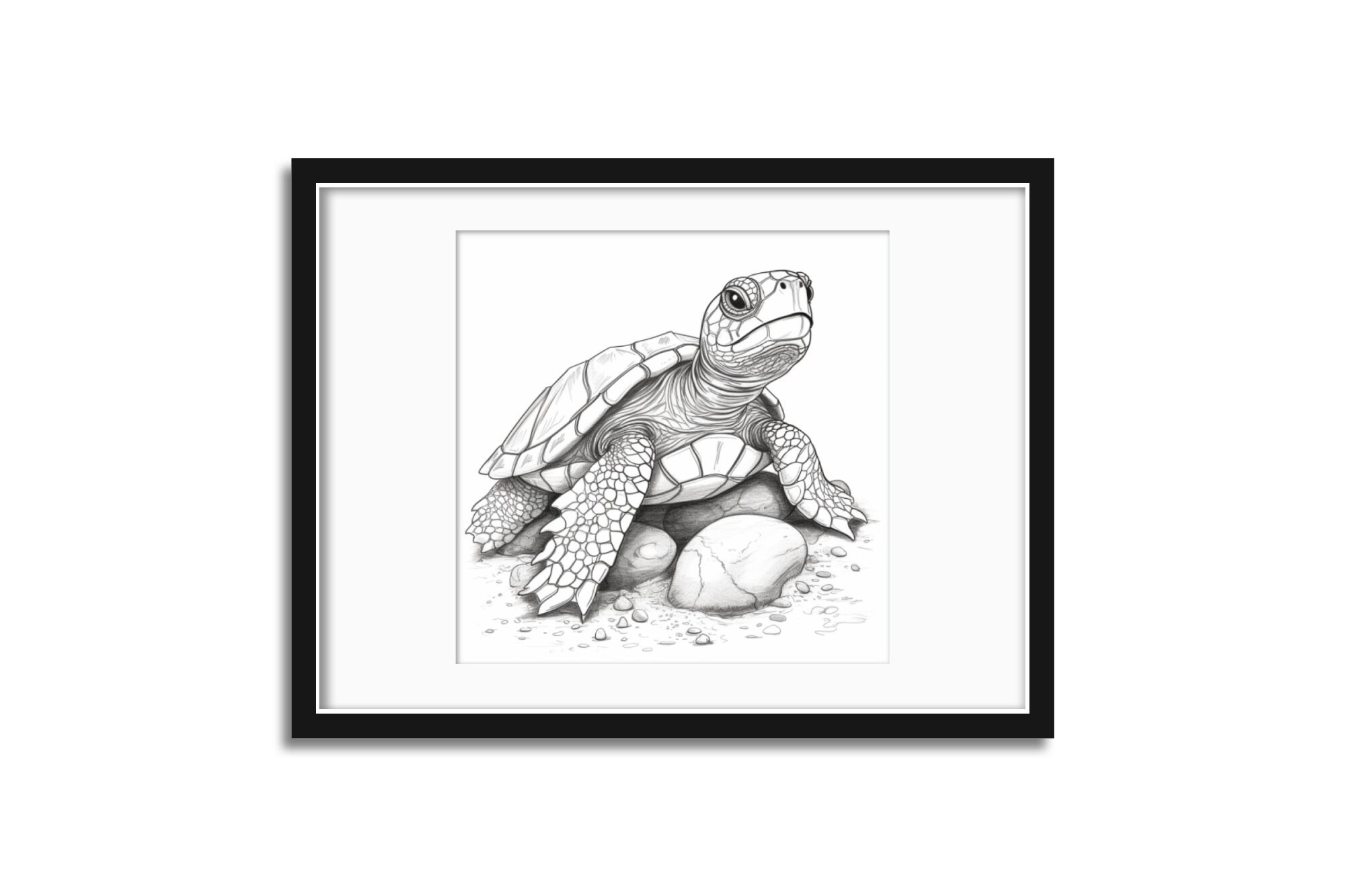 Baby Turtle - Coloring Page- Coloring Page for Adult Printable - Etsy