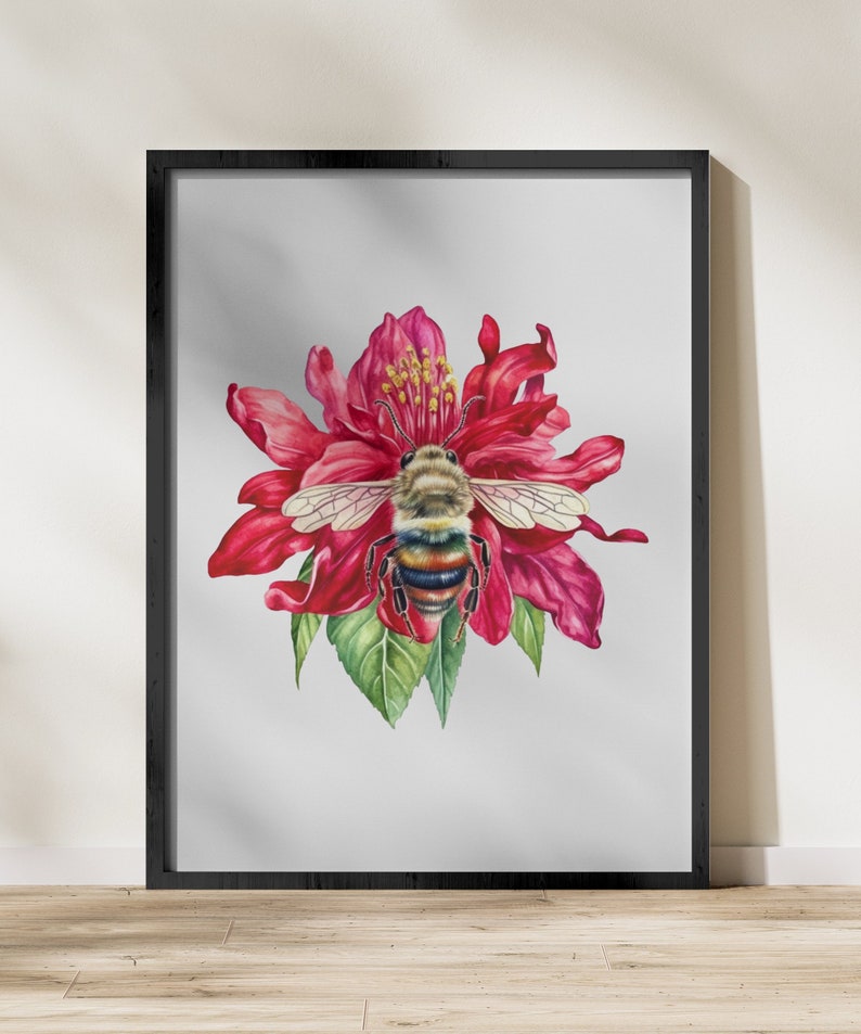 Balsamo per api acquerello Fiori SVG, Clipart floreale PNG per uso commerciale Download digitale immagine 2