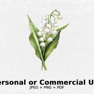 Aquarelle Lily of the Valley - Fleurs SVG, Clipart Floral PNG à usage commercial - Téléchargement numérique