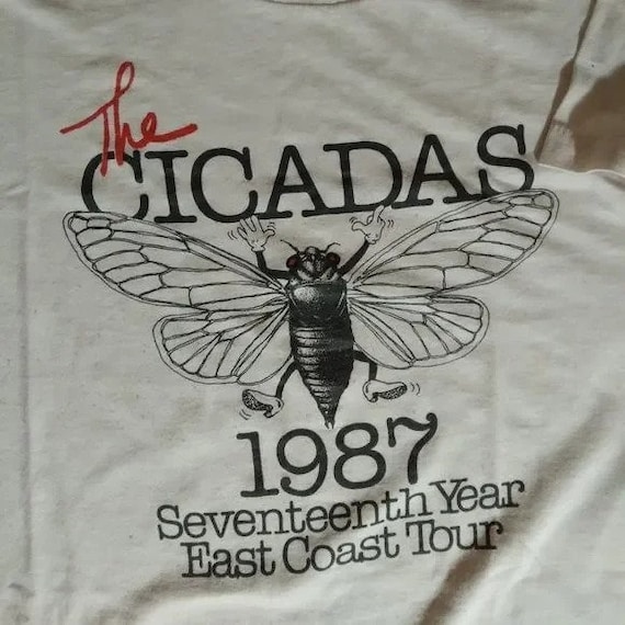 Vintage The Cicadas Seventeenth Year 1987 East Coa